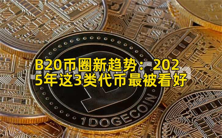 B20币圈新趋势:2025年这3类代币最被看好插图 B20币圈新趋势:2025年这3类代币最被看好插图