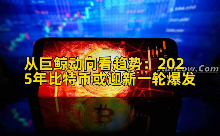 从巨鲸动向看趋势:2025年比特币或迎新一轮爆发插图 从巨鲸动向看趋势:2025年比特币或迎新一轮爆发插图