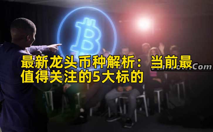 最新龙头币种解析：当前最值得关注的5大标的插图