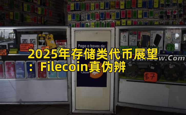 2025年存储类代币展望:Filecoin真伪辨插图 2025年存储类代币展望:Filecoin真伪辨插图