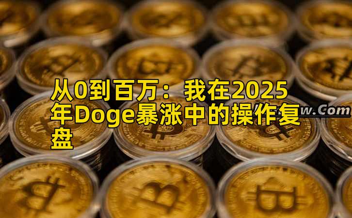 从0到百万：我在2025年Doge暴涨中的操作复盘插图