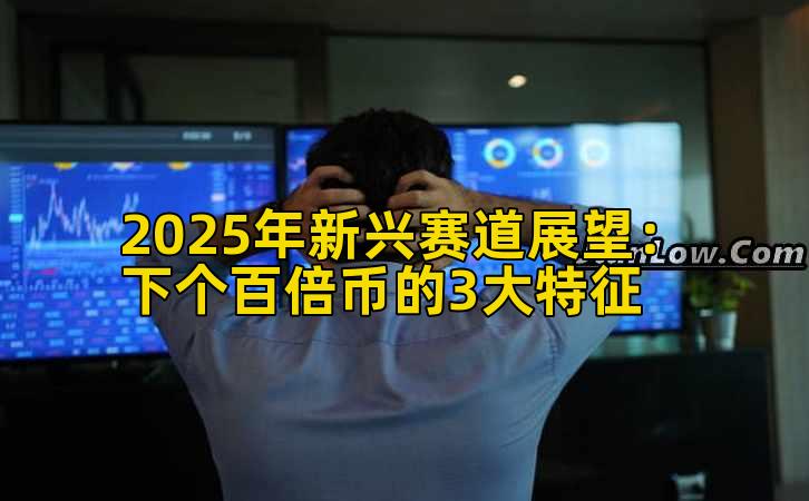 2025年新兴赛道展望：下个百倍币的3大特征插图
