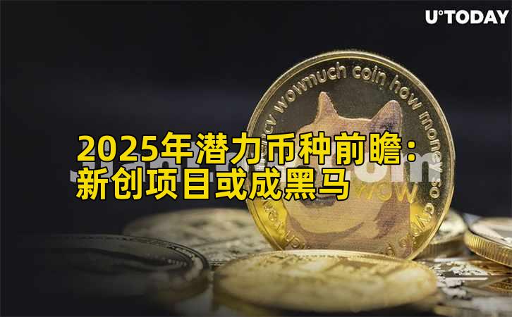 2025年潜力币种前瞻：新创项目或成黑马插图