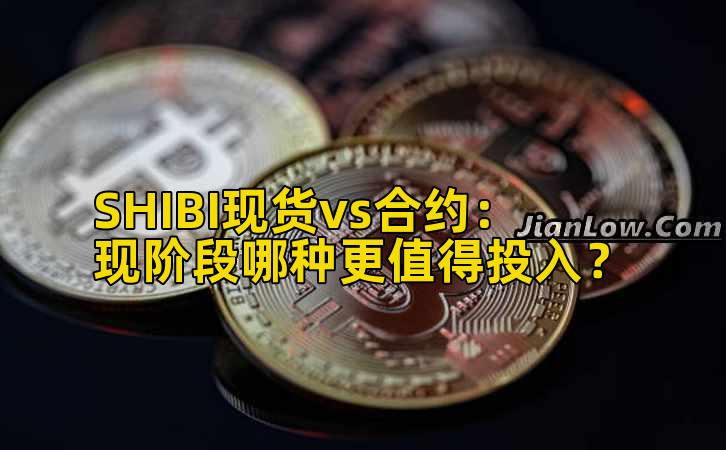 SHIBI现货vs合约：现阶段哪种更值得投入？插图