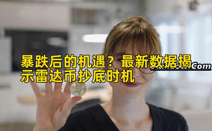 暴跌后的机遇?最新数据揭示雷达币抄底时机插图 暴跌后的机遇?最新数据揭示雷达币抄底时机插图
