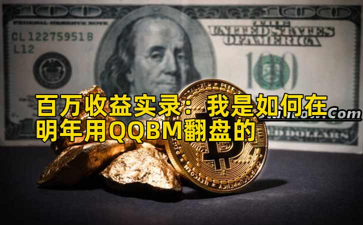 百万收益实录：我是如何在明年用QQBM翻盘的插图