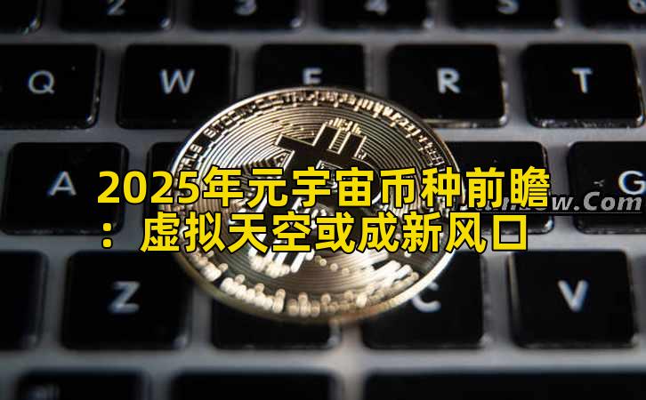 2025年元宇宙币种前瞻：虚拟天空或成新风口插图
