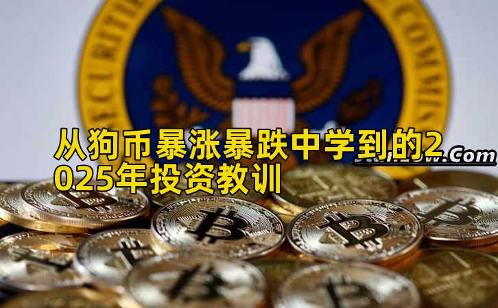 从狗币暴涨暴跌中学到的2025年投资教训插图