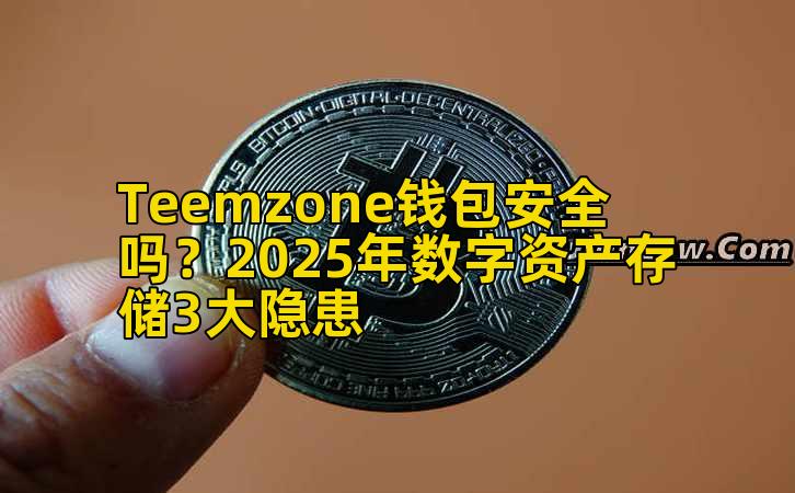 Teemzone钱包安全吗？2025年数字资产存储3大隐患插图