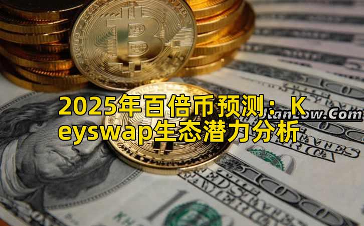 2025年百倍币预测：Keyswap生态潜力分析插图