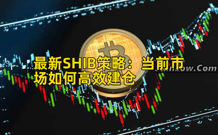 最新SHIB策略:当前市场如何高效建仓插图 最新SHIB策略:当前市场如何高效建仓插图
