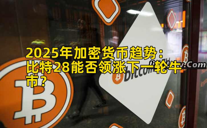 2025年加密货币趋势：比特28能否领涨下一轮牛市？插图