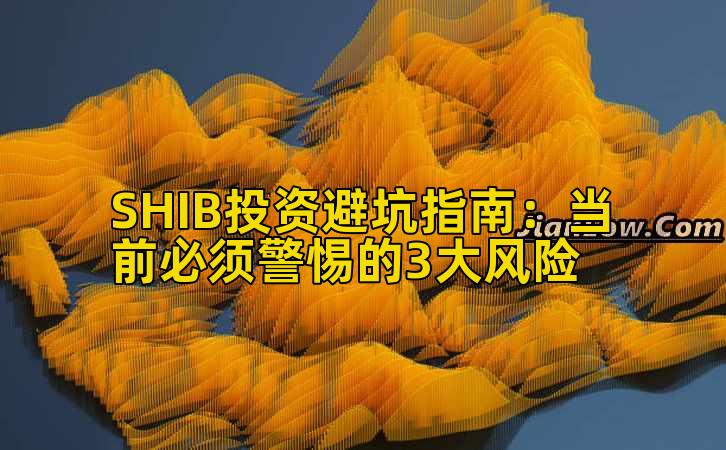 SHIB投资避坑指南:当前必须警惕的3大风险插图 SHIB投资避坑指南:当前必须警惕的3大风险插图