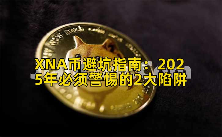 XNA币避坑指南：2025年必须警惕的2大陷阱插图