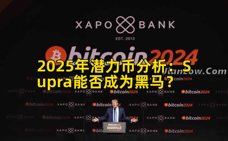 2025年潜力币分析：Supra能否成为黑马？插图