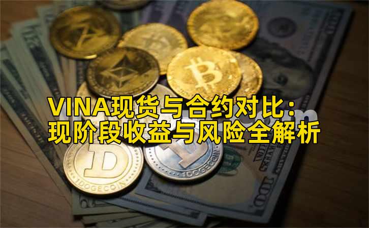 VINA现货与合约对比：现阶段收益与风险全解析插图
