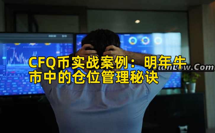 CFQ币实战案例：明年牛市中的仓位管理秘诀插图