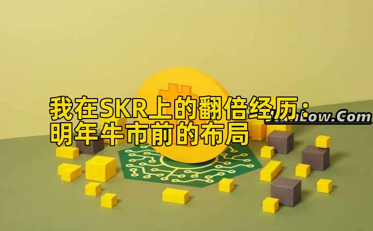 我在SKR上的翻倍经历:明年牛市前的布局插图 我在SKR上的翻倍经历:明年牛市前的布局插图