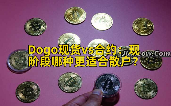 Dogo现货vs合约:现阶段哪种更适合散户?插图 Dogo现货vs合约:现阶段哪种更适合散户?插图