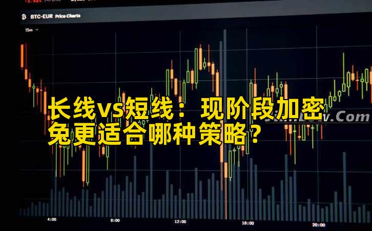 长线vs短线：现阶段加密兔更适合哪种策略？插图