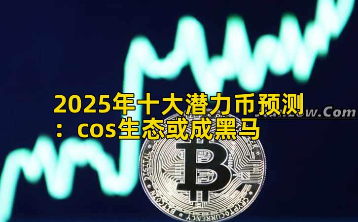2025年十大潜力币预测：cos生态或成黑马插图