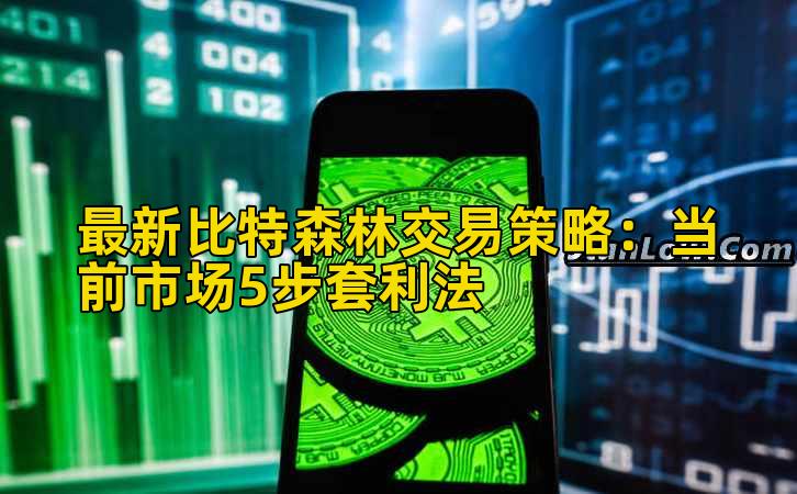 最新比特森林交易策略：当前市场5步套利法插图