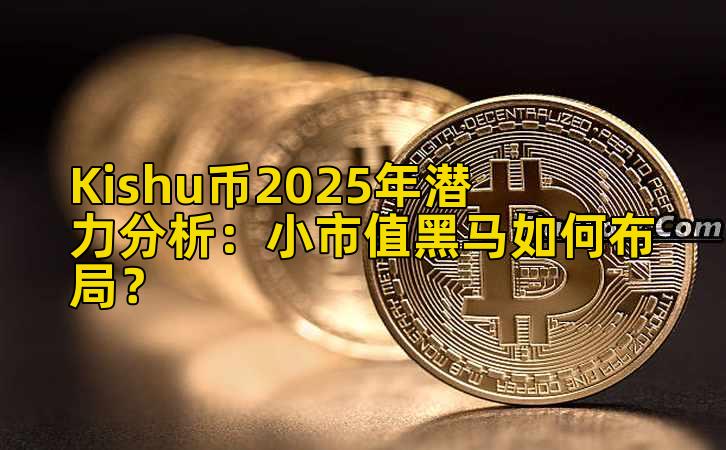 Kishu币2025年潜力分析：小市值黑马如何布局？插图