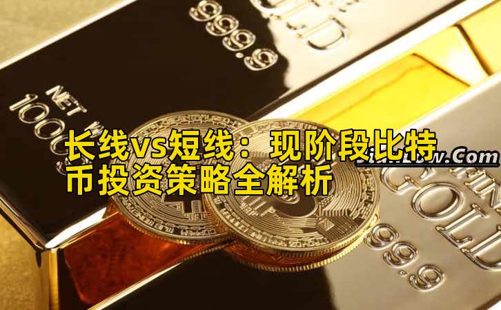 长线vs短线：现阶段比特币投资策略全解析插图