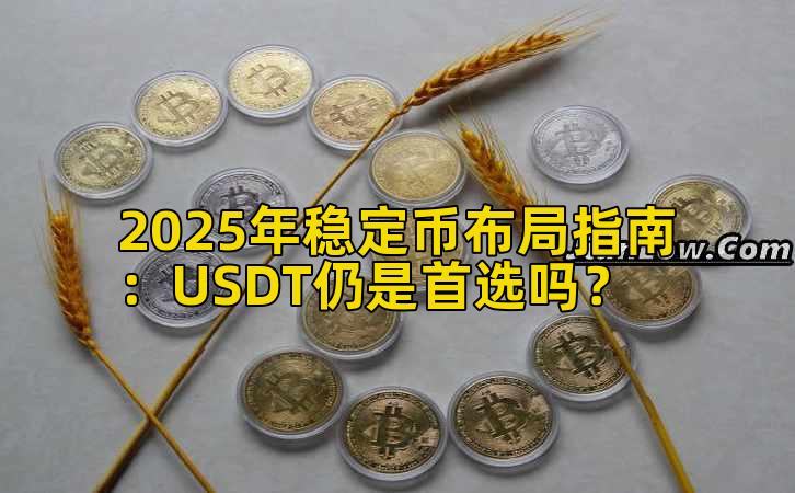 2025年稳定币布局指南：USDT仍是首选吗？插图
