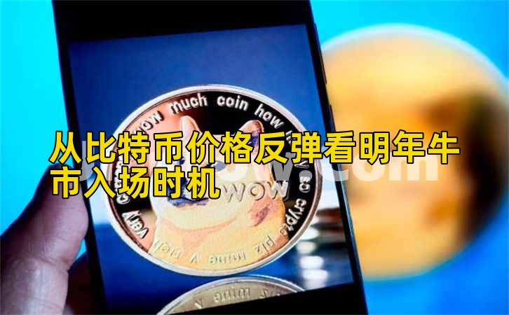 从比特币价格反弹看明年牛市入场时机插图 从比特币价格反弹看明年牛市入场时机插图