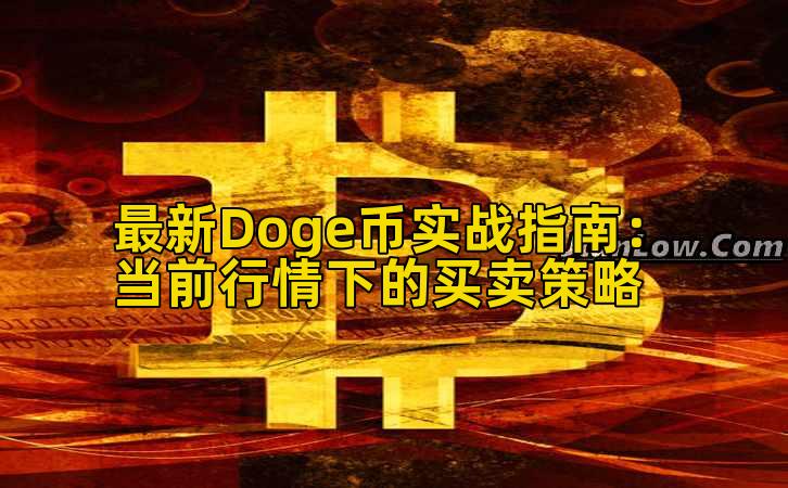 最新Doge币实战指南:当前行情下的买卖策略插图 最新Doge币实战指南:当前行情下的买卖策略插图