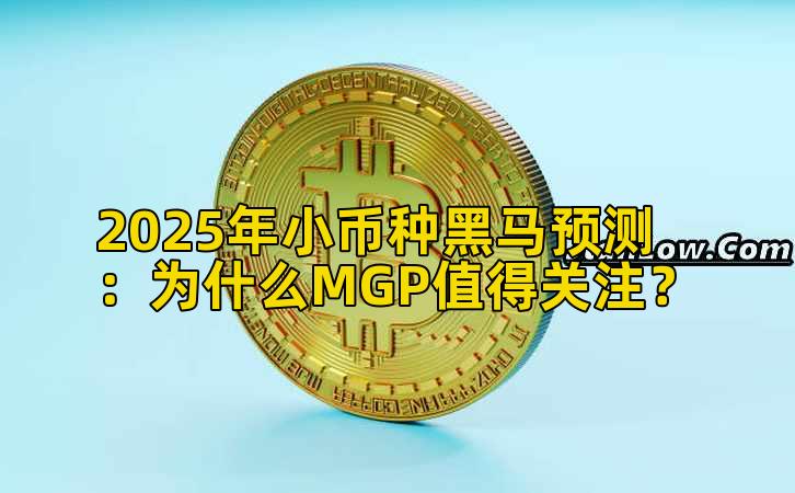 2025年小币种黑马预测：为什么MGP值得关注？插图