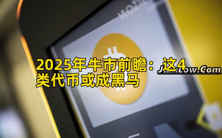 2025年牛市前瞻：这4类代币或成黑马插图