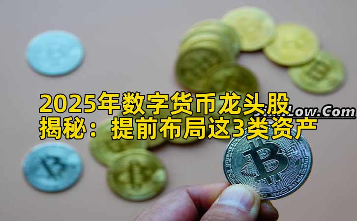2025年数字货币龙头股揭秘：提前布局这3类资产插图