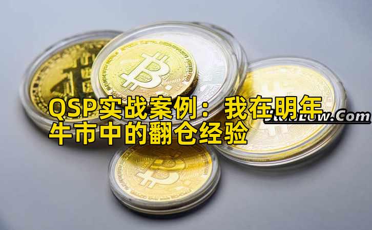 QSP实战案例：我在明年牛市中的翻仓经验插图