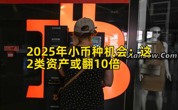 2025年小币种机会：这2类资产或翻10倍插图