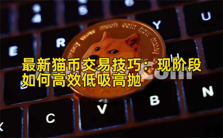 最新猫币交易技巧:现阶段如何高效低吸高抛插图 最新猫币交易技巧:现阶段如何高效低吸高抛插图
