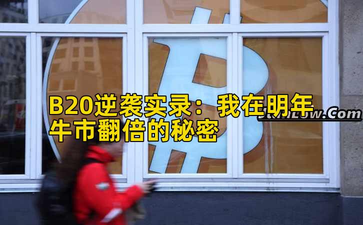 B20逆袭实录：我在明年牛市翻倍的秘密插图