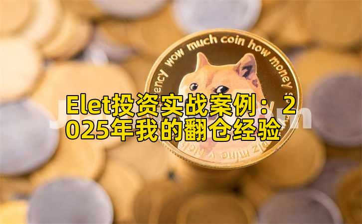 Elet投资实战案例:2025年我的翻仓经验插图 Elet投资实战案例:2025年我的翻仓经验插图