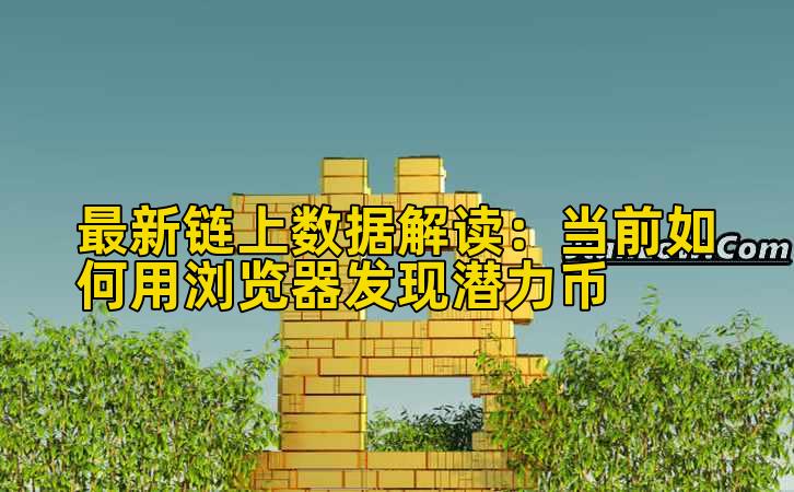 最新链上数据解读：当前如何用浏览器发现潜力币插图