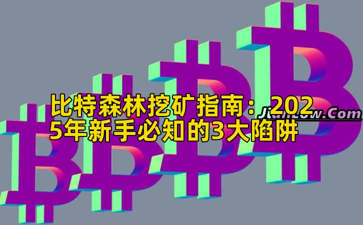 比特森林挖矿指南:2025年新手必知的3大陷阱插图 比特森林挖矿指南:2025年新手必知的3大陷阱插图