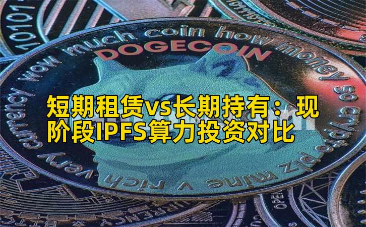 短期租赁vs长期持有：现阶段IPFS算力投资对比插图