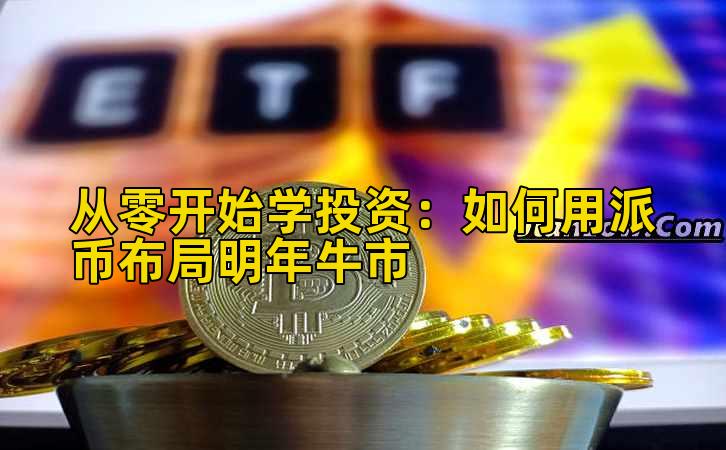 从零开始学投资：如何用派币布局明年牛市插图
