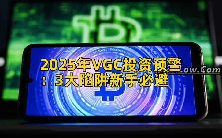 2025年VGC投资预警：3大陷阱新手必避插图