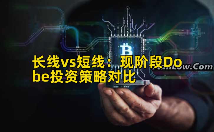长线vs短线：现阶段Dobe投资策略对比插图