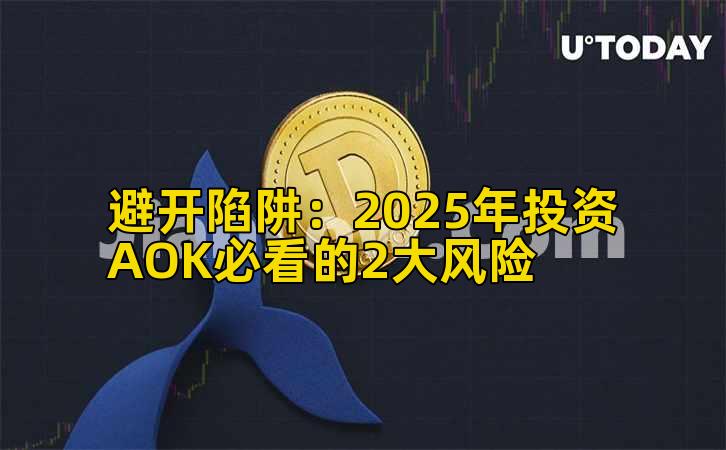 避开陷阱：2025年投资AOK必看的2大风险插图