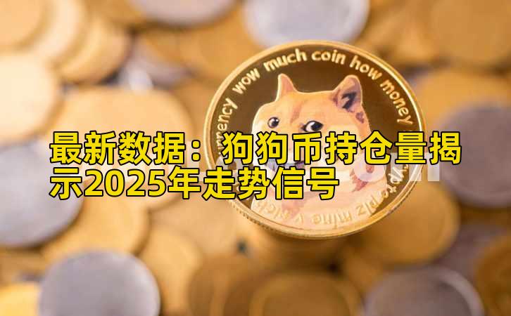 最新数据：狗狗币持仓量揭示2025年走势信号插图