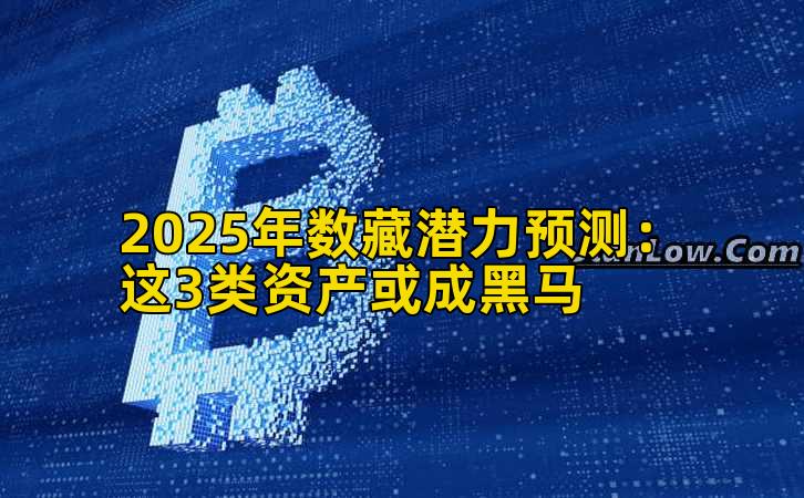 2025年数藏潜力预测:这3类资产或成黑马插图 2025年数藏潜力预测:这3类资产或成黑马插图