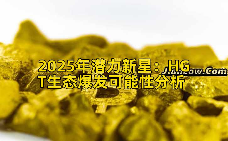 2025年潜力新星：HGT生态爆发可能性分析插图