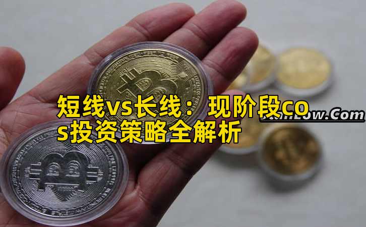 短线vs长线:现阶段cos投资策略全解析插图 短线vs长线:现阶段cos投资策略全解析插图